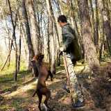 C�� chi li prende gi� addestrati ma l�ideale � che ogni cavatore cresca il proprio segugio, per imparare a interagire con lui quando � solo nel bosco (foto di Nicola Velluso)